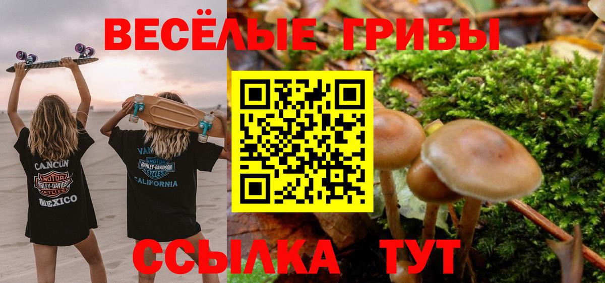 Ливны  Галлюциногенные грибы Psilocybe  Псилоцибиновые грибы мухоморы  Вход с VPN 